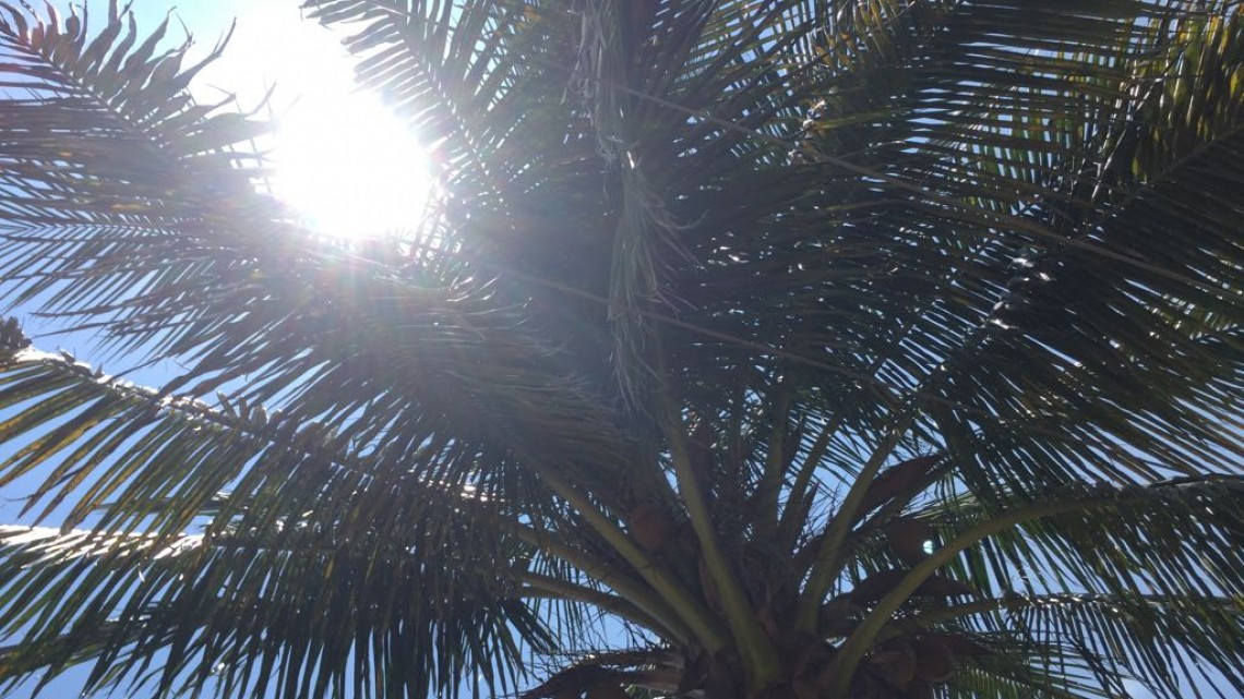 En las escuelas previenen afectaciones por los fuertes calores