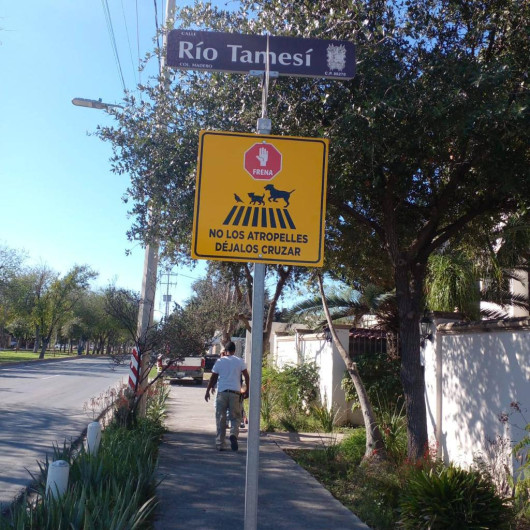 Suma Gobierno Municipal acciones para el bienestar de los animales 