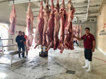 Se triplica el sacrificio de bovinos en rastro municipal