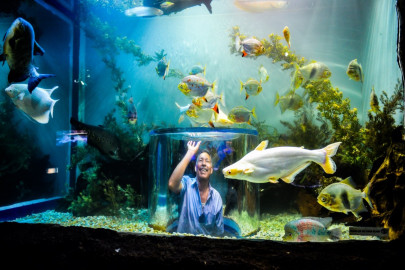 Entrada gratuita al Acuario de Nuevo Laredo este fin de semana