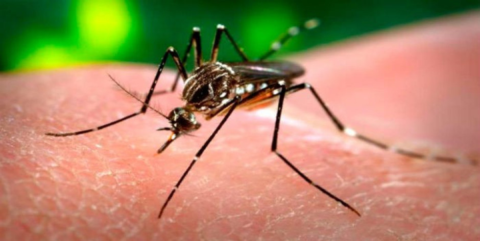 Filipinas declara alerta nacional por dengue