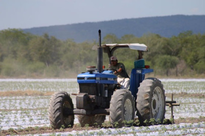 Falta de acuerdos y costo de combustibles pegan al campo
