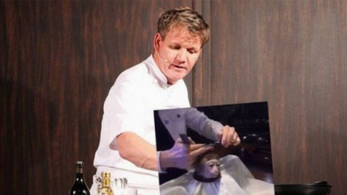 El meme del corte de pelo a un mono que encaja en todo