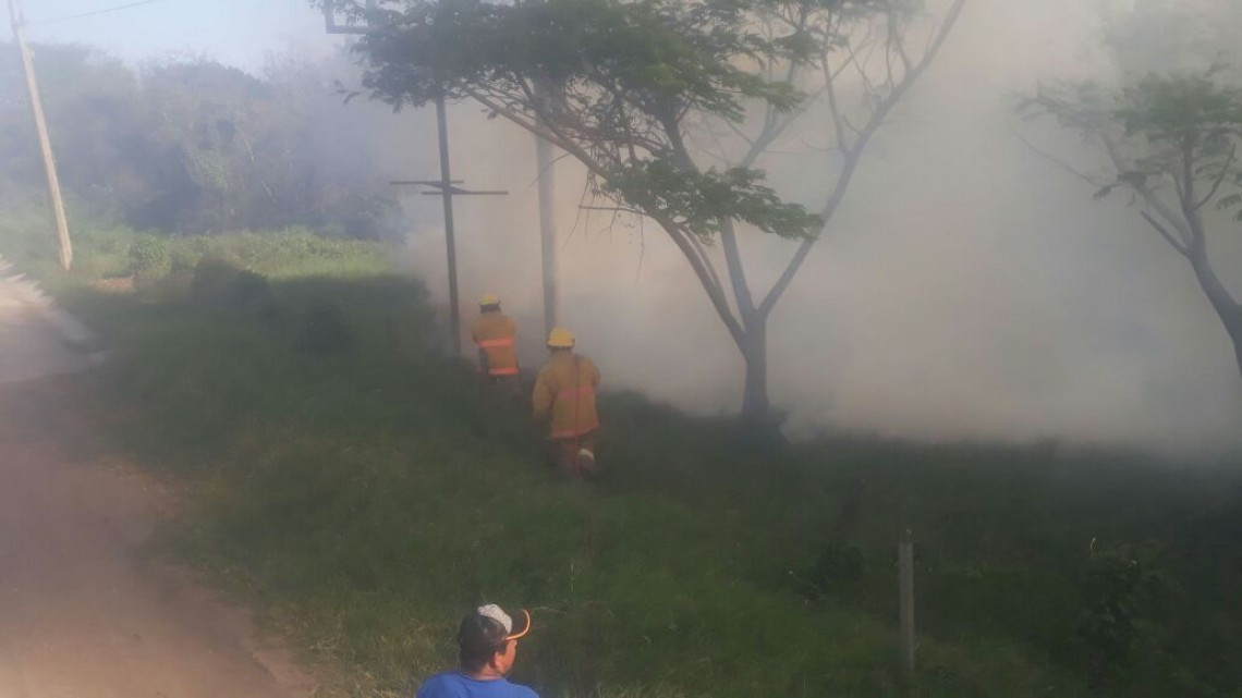 Incendios, caídas de anuncios y árboles, saldo por paso del frente frío número 44