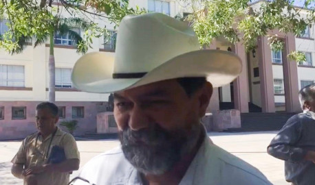 Espera Tamaulipas repunte en precio de la naranja 