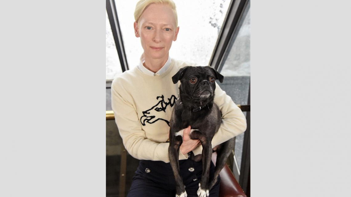 Protagonistas de Isle of dogs posan con cachorritos