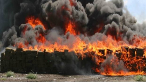 Incineran 14 toneladas de precursores y sustancias de drogas sintéticas en Sonora