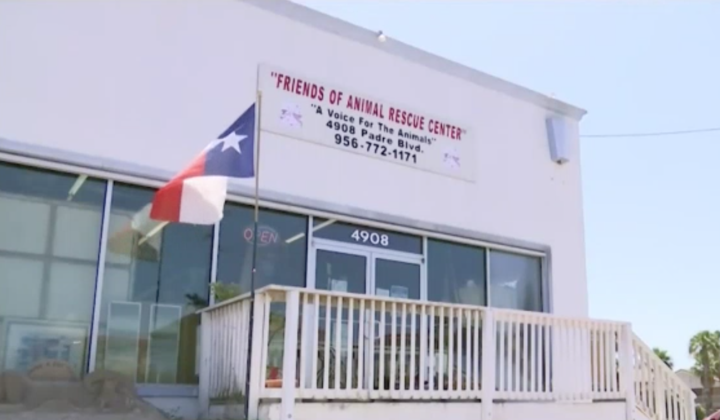 Recaudan fondos para un refugio de animales 