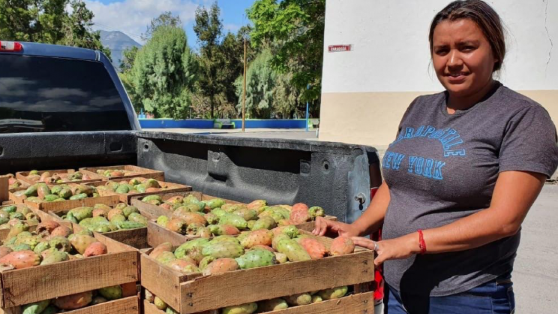 DIF Tamaulipas ayuda a familias de Miquihuana a vender Tunas