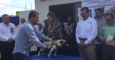 Inicia semana de vacunación antirrábica