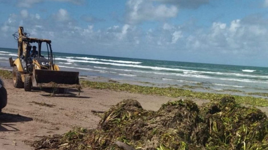 Contribuye Turismo con maquinaria para limpieza de lirio en playa Miramar