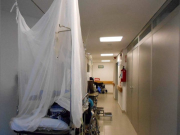 Asciende a 44 casos de dengue hemorrágico en Nuevo León