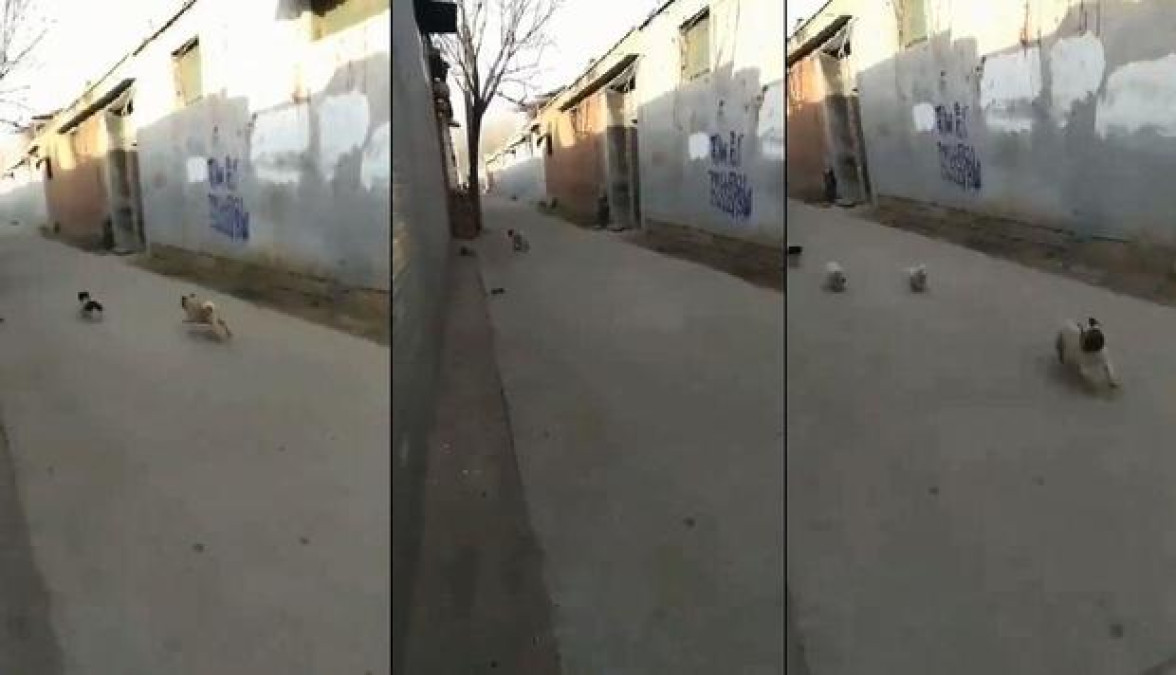 Y si te metes con uno, ¡te metes con todos!