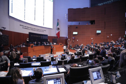 Senado no repetirá elecciones para presidente de CNDH