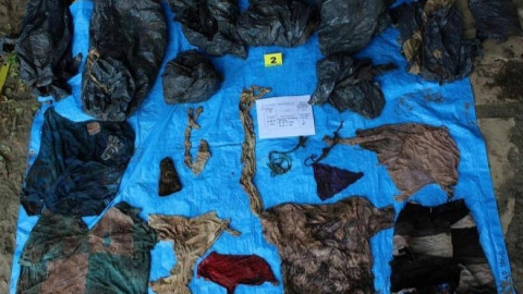 Aumenta a 170 los cuerpos encontrados en Veracruz