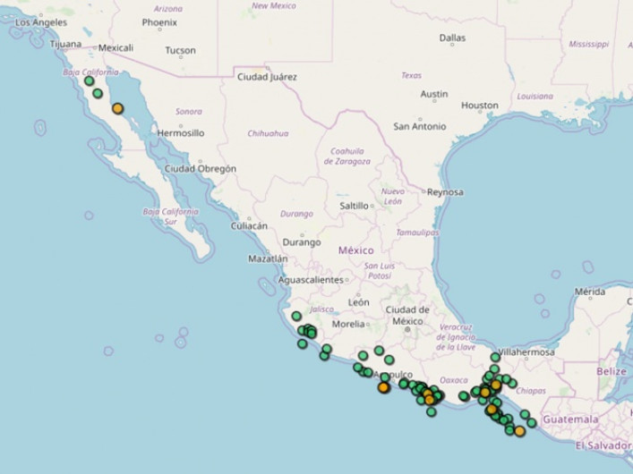 SNN reporta 41 sismos en 12 horas