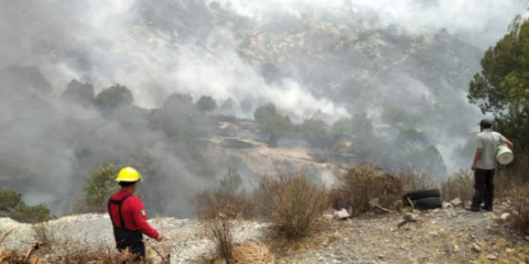 Incendio en Cerro de Camelia consume 10 hectáreas: PC