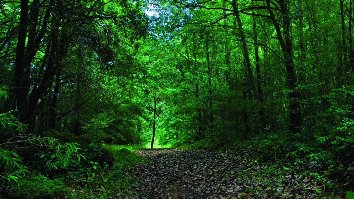 Valoran importancia del turismo social incluyente en Tamaulipas