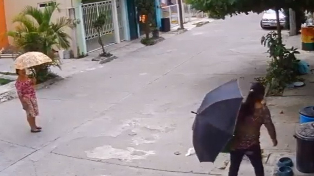 Ni los perros se salvan de la delincuencia, llega #LadyTrastes