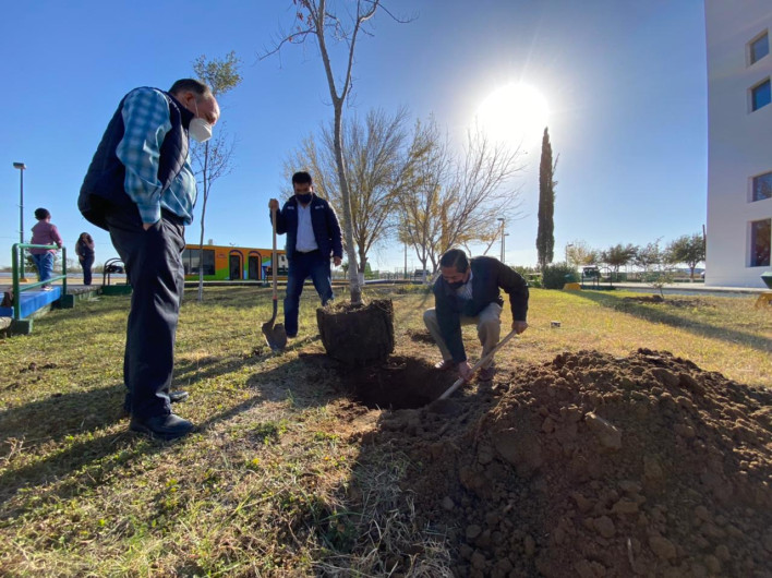 Institución educativa promueve la reforestación
