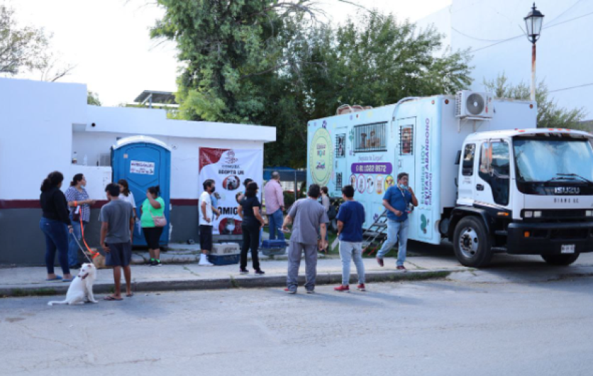Finaliza campaña gratuita para esterilizar a más de 200 mascotas 