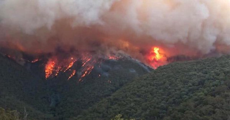 Declaran estado de emergencia en Nueva Gales del Sur por los incendios forestales