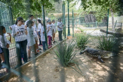 Ejército convive con niños en campamento del Zoológico