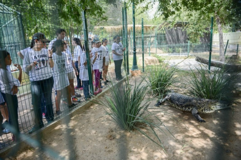 Ejército convive con niños en campamento del Zoológico