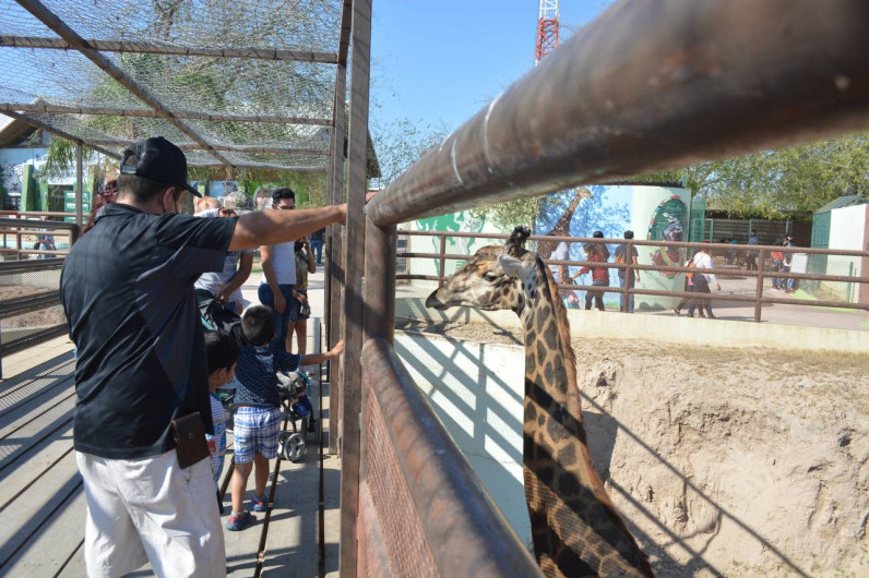 Visitantes locales y turistas disfrutan del zoológico de Nuevo Laredo 