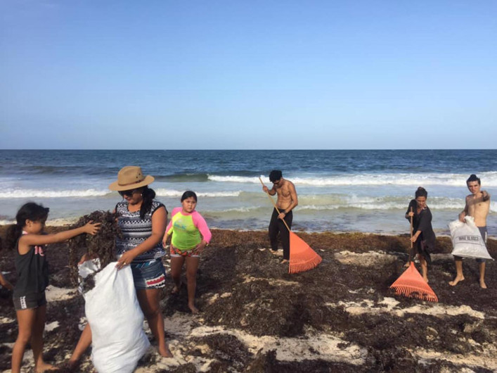 Limpian sargazo en Tulum