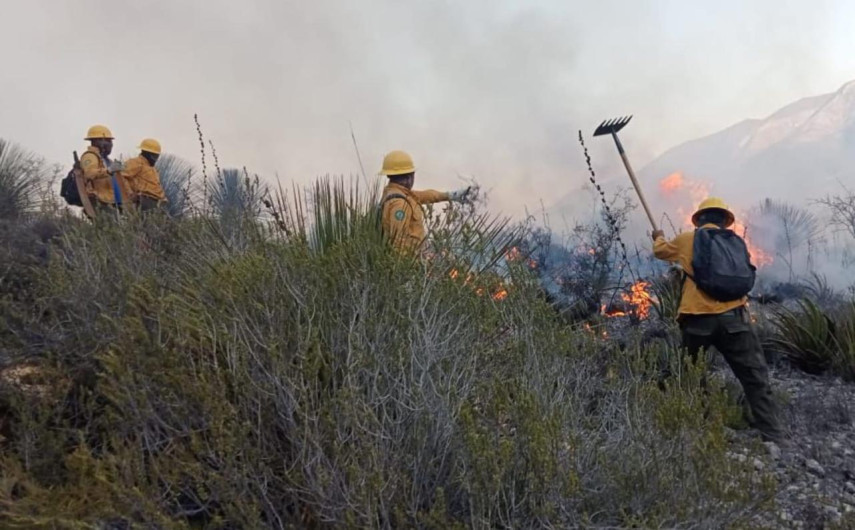 Refuerzan coordinación Estado y Federación para combatir incendios 