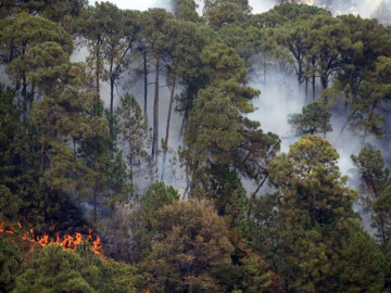 Combaten incendios forestales en la Sierra Tarahumara