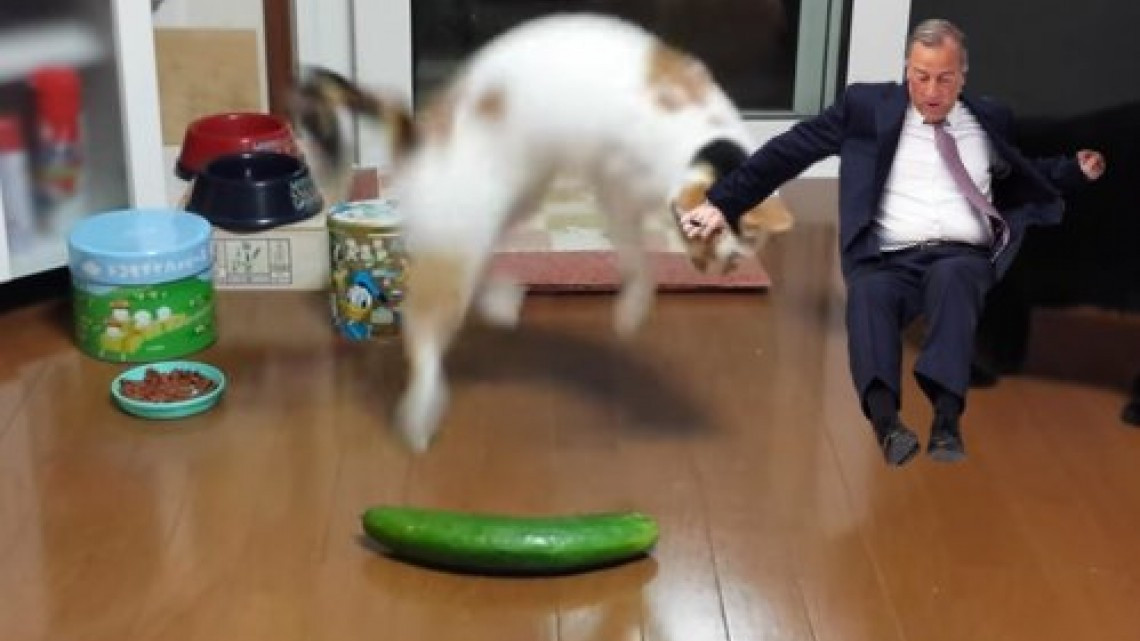 Meade cae por poco y en redes lo viralizan