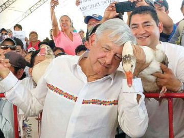 “Me canso ganso”, de frase a la TV