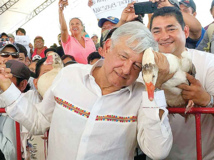 “Me canso ganso”, de frase a la TV