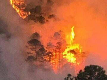 Oaxaca solicitará declaratoria de emergencia por incendios forestales