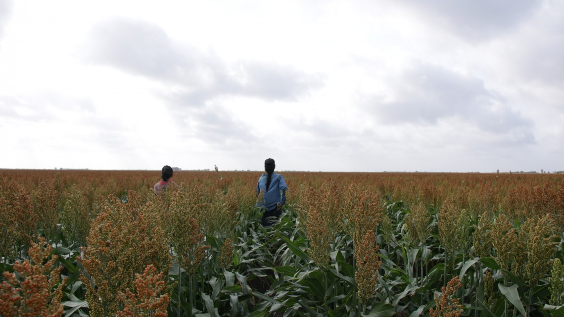 Fortalecen en Tamaulipas acciones para erradicar el trabajo infantil