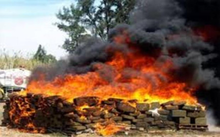 Incinera PGR más de 4 toneladas de droga en Nuevo León