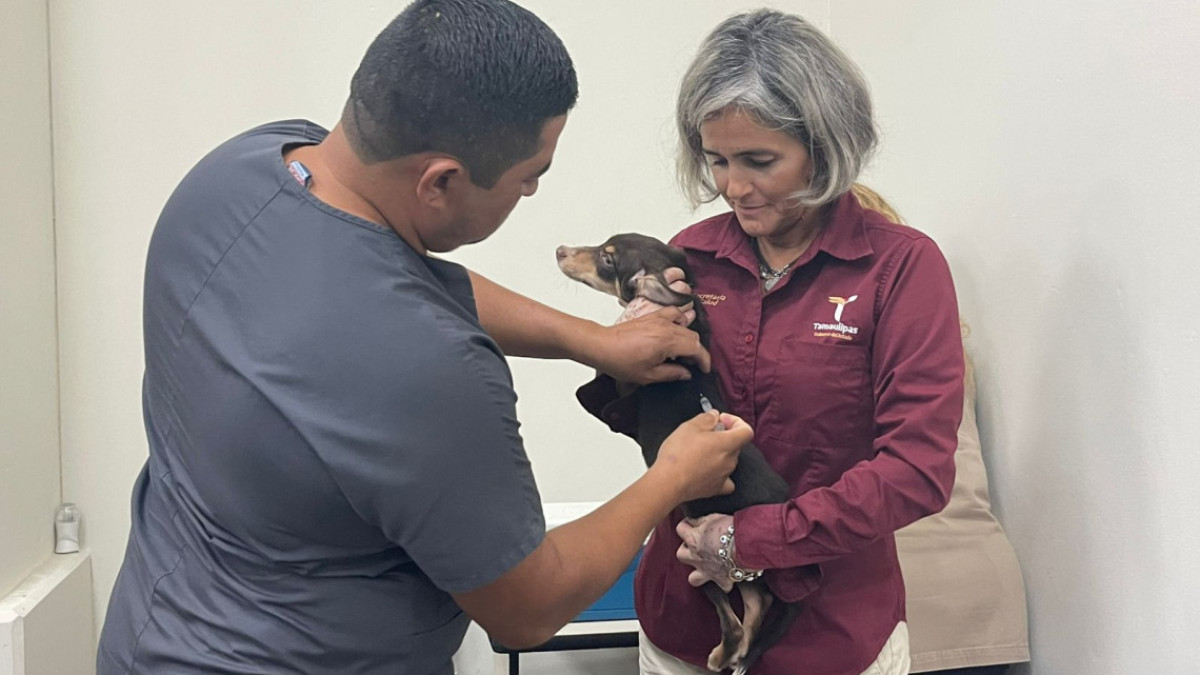 Arrancan jornada de vacunación antirrábica canina y felina