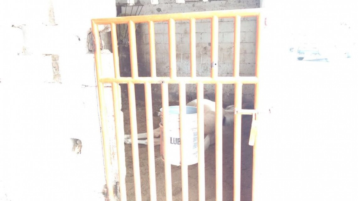 Atacan rancho de Eduardo Rodríguez, operador de Yarrington