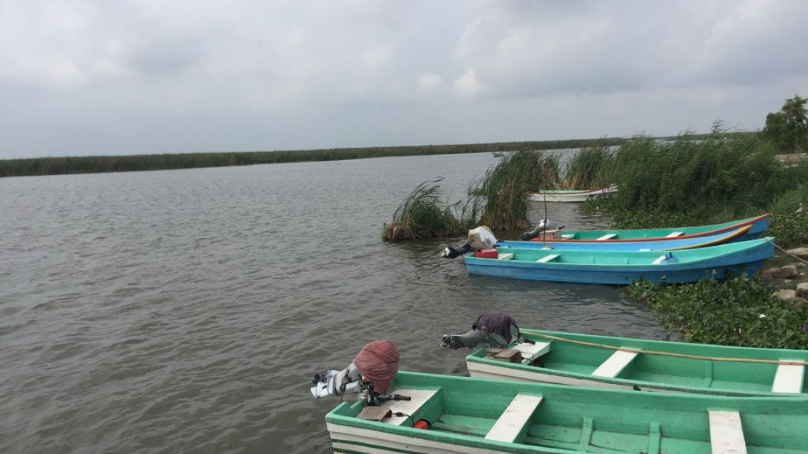 Pesca indiscriminada amenaza especies de la laguna de Champayán