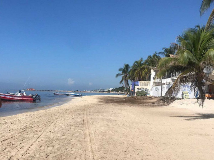 Sargazo fuera para 4 municipios de Quintana Roo