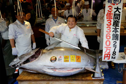 ¡Sorprendente! Rey del sushi en Japón compra un atún de 278 kilos