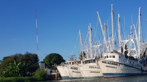 Desfilarán barcos camaroneros por playa de Miramar