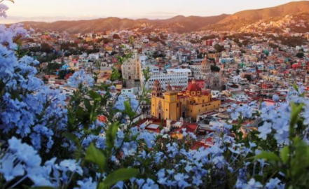 Iniciará distribución "Visa" de turistas en Guanajuato