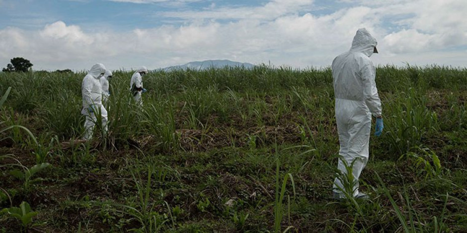 25 cuerpos son descubiertos en fosa clandestina en Jalisco