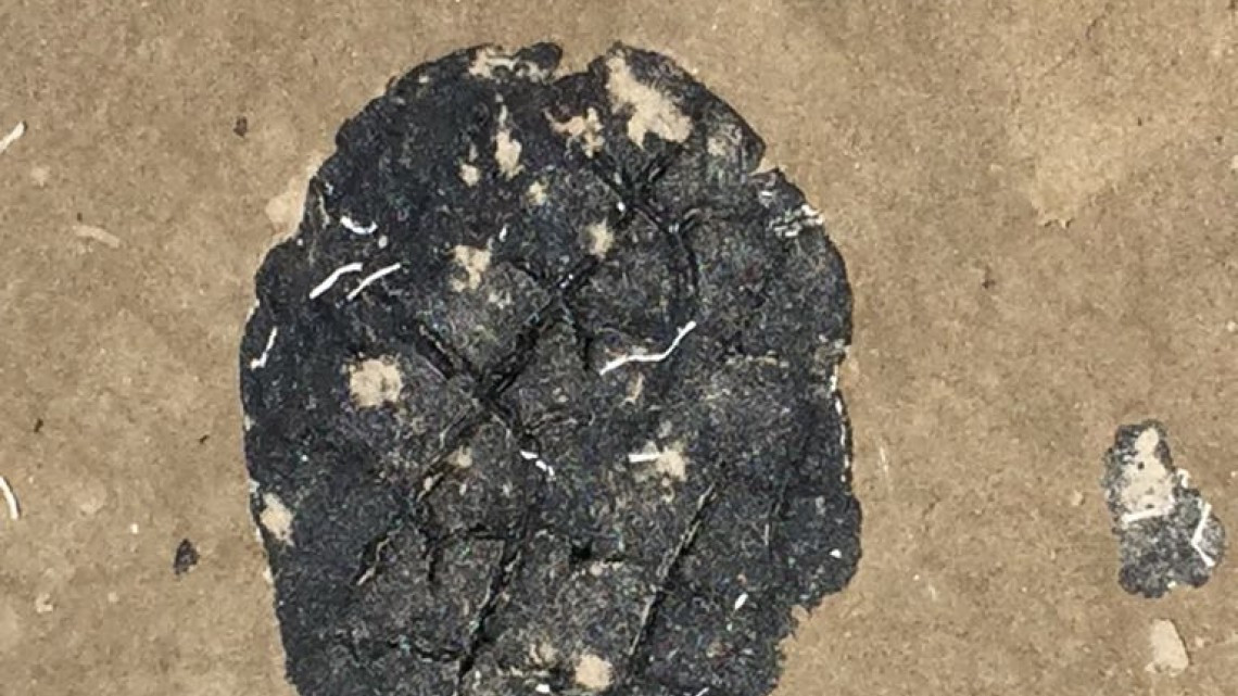 Flotan manchas de petróleo y se esparcen en Playa Tesoro