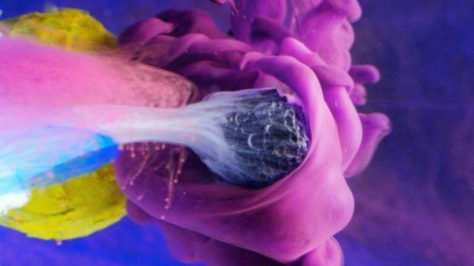 Lente macro captura los mejores espectáculos