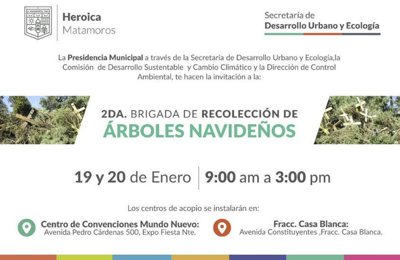 Invitan a 2da brigada de recolección de Árboles Navideños