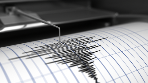 Sismo de 5.6 grados sacude sur de Irán